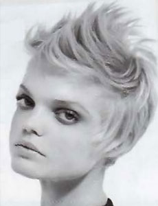 แบบผม Quiff (เน้นปอยผมด้านหน้า) ปี 2009