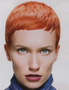 แบบผมสั้น ปี 2009