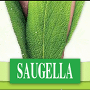 พบกิจกรรมฟังสบายหู สนุกลุ้นโชคกับ Saugella