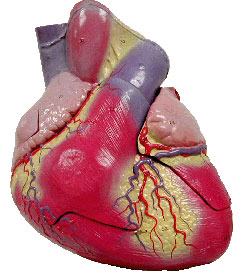 มาสำรวจหัวใจตัวเองกันเถอะ