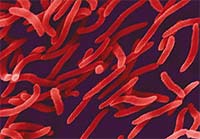 หน้าร้อน กับ 8 โรคร้าย... อะไรต้องระวัง