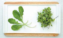 หลอดเลือดในสมองแตก เรื่องน่าเศร้าที่อาจคาดไม่ถึง