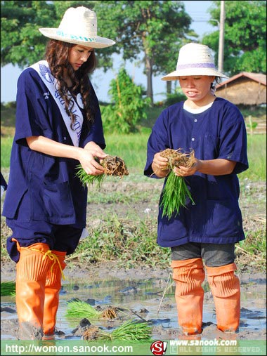 กิจกรรมเก็บตัวผู้เข้าประกวดนางสาวไทยปี 51