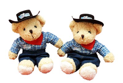 ยูเอสเอ แฟร์ 2008 สัมผัสประสบการณ์สไตล์อเมริกันแท้ ๆในเมืองไทย