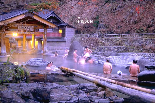 ไปดูซากุระที่ญี่ปุ่นกัน !!