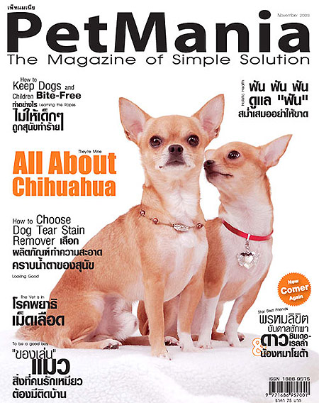 PetMania : พฤศจิกายน 2551