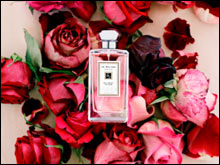 A TOKEN OF AFFECTION VALENTINE’__SMCL__S DAY 2009