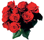 พักรบ สงครามในที่ทำงาน