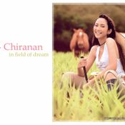 Yui Chiranan in field of dream