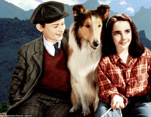 เอลิซาเบธ เทย์เลอร์, elizabeth taylor