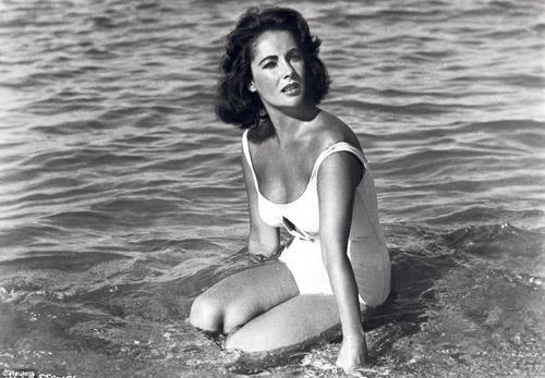 เอลิซาเบธ เทย์เลอร์, elizabeth taylor