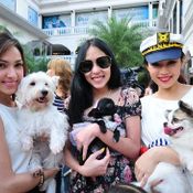 กิจกรรม Dog Day Say Cheeze