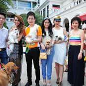 กิจกรรม Dog Day Say Cheeze