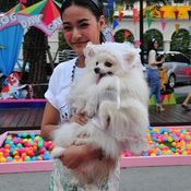 กิจกรรม Dog Day Say Cheeze