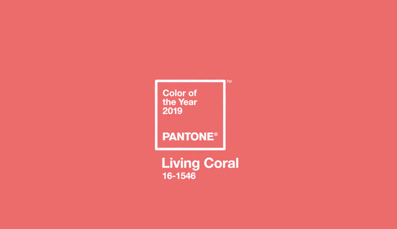 คุมโทน "Living Coral" หรือ "สีส้มปะการัง" เทรนด์สีแห่งปี 2019 ของ Pantone