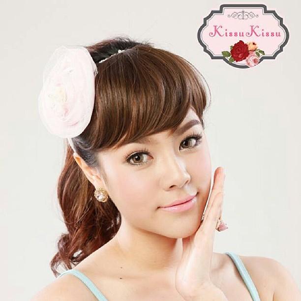 หน้าม้าดารา