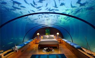 A 5 stars pampering trip @ the Star Shaped Island, the Maldives 