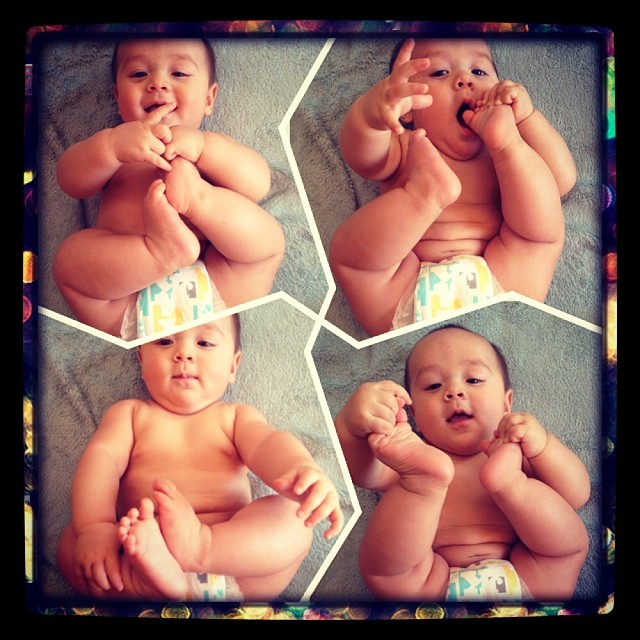 ลูกไบรโอนี่