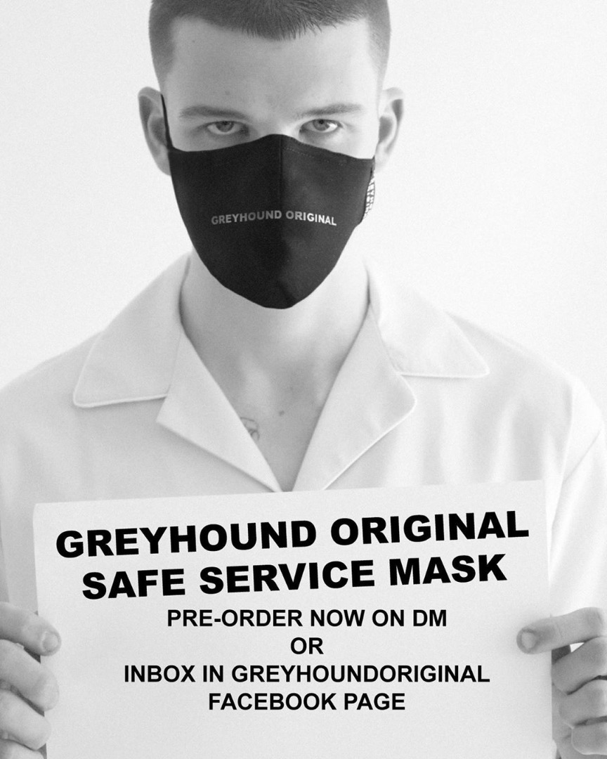 Greyhound