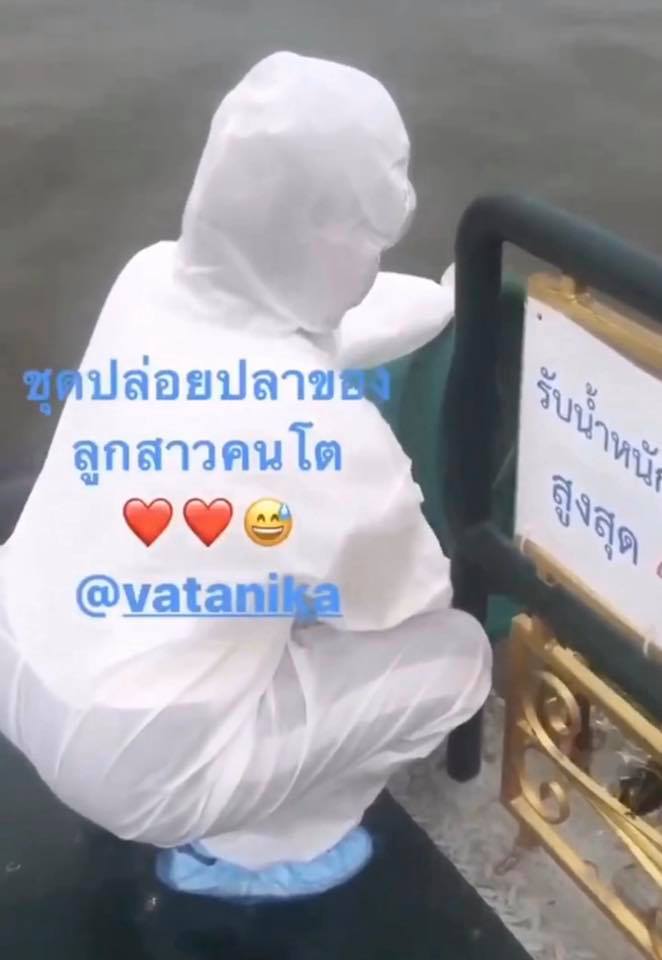 แพร วทานิกา