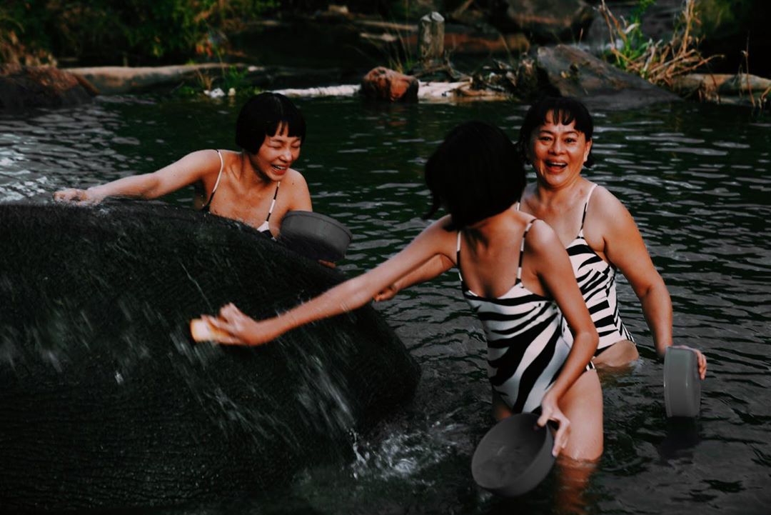 เฟิร์น ศุภนารี