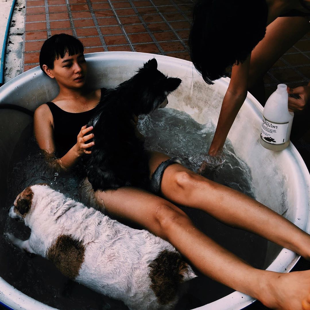 เฟิร์น ศุภนารี