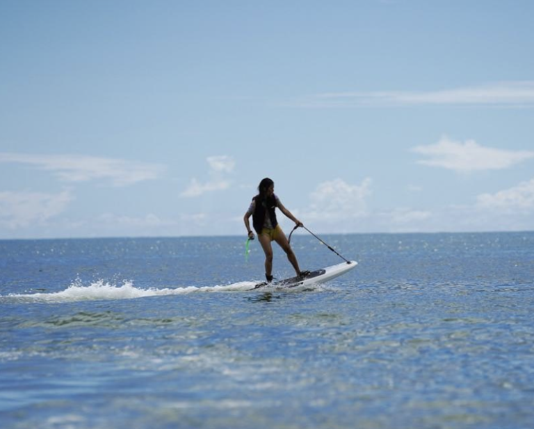 เซเลบริตี้