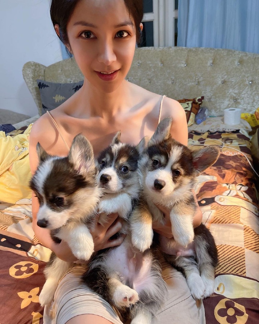 ฟิล์ม มิสทิฟฟานี่ 2007