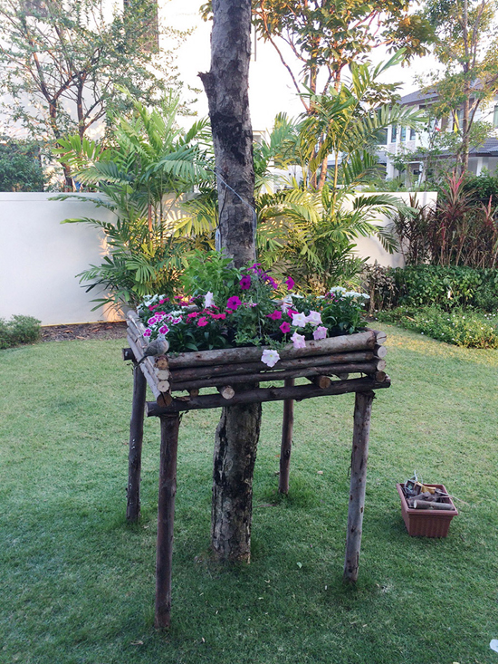 จัดสวนน้อยๆ ด้วยงบ 250 บาท