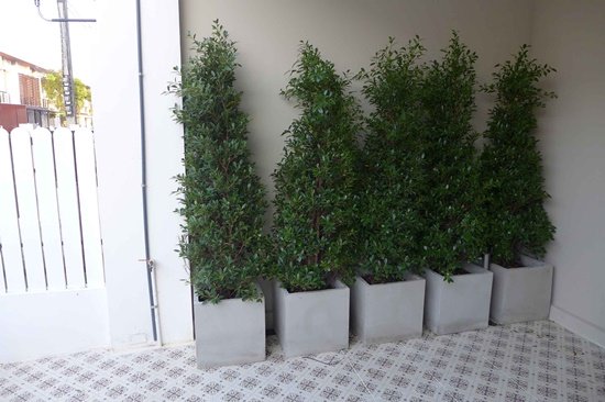 แต่งสวนหน้าบ้าน หลังบ้าน งบไม่เกิน 3 หมื่นบาท