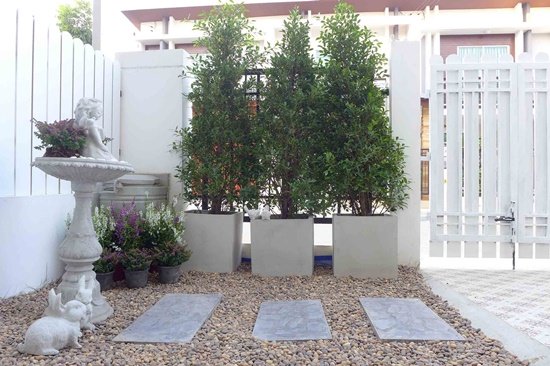 แต่งสวนหน้าบ้าน หลังบ้าน งบไม่เกิน 3 หมื่นบาท