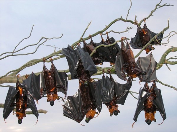 10 ไอเดียงานศิลปะ รีไซเคิล ขวดพลาสติก