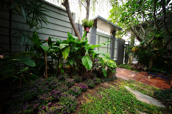 สวนกระจิ๊ดริด กับ งบจิ๊บๆ ที่ไม่ต้องออกแบบและทำเอง