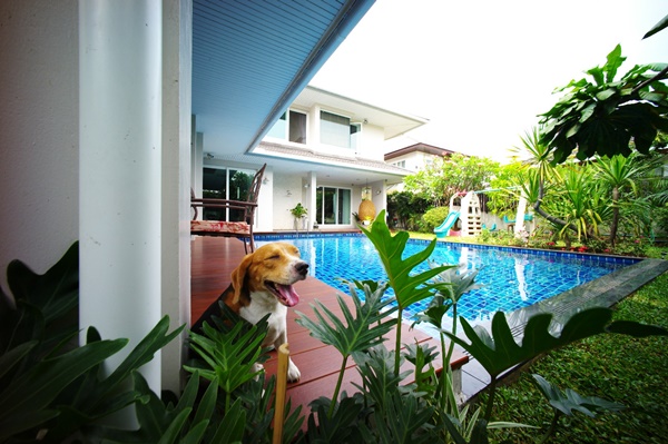 สวนกระจิ๊ดริด กับ งบจิ๊บๆ ที่ไม่ต้องออกแบบและทำเอง