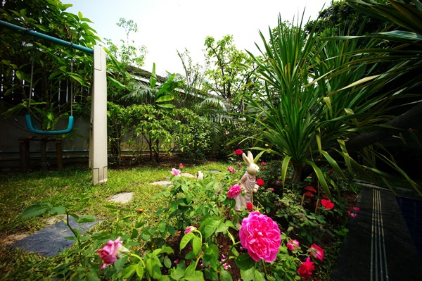 สวนกระจิ๊ดริด กับ งบจิ๊บๆ ที่ไม่ต้องออกแบบและทำเอง