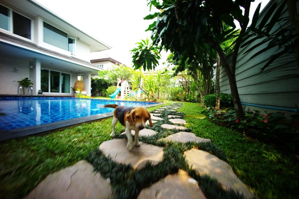 สวนกระจิ๊ดริด กับ งบจิ๊บๆ ที่ไม่ต้องออกแบบและทำเอง