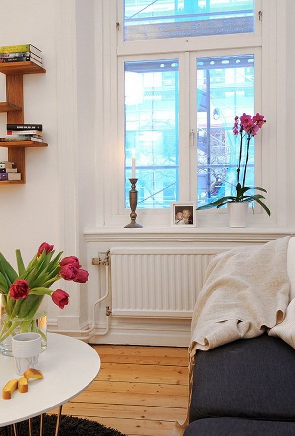 เอาแบบนี้เลย ตกแต่งคอนโด 31 ตารางเมตร ได้น่าอยู่สุด สุด