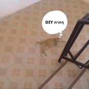 DIY กากๆ ที่ให้น้ำสัตว์เลี้ยงด้วยงบ 0 บาทกันเถอะ