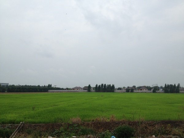 รีวิวสร้างบ้านใหม่ที่บ้านนอกเพื่อเตี่ยและแม่