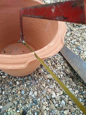 DIY มาทำกระถางต้นไม้ตกแต่งบ้านกันเถอะ