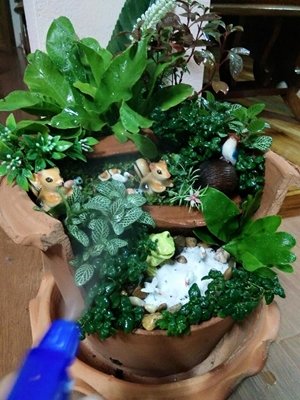 DIY มาทำกระถางต้นไม้ตกแต่งบ้านกันเถอะ