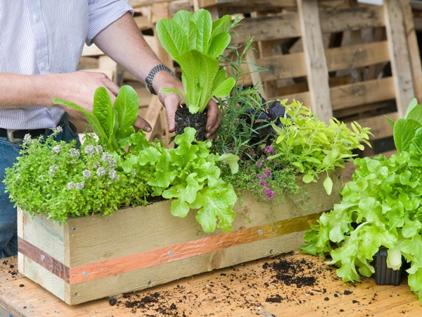 15 ไอเดีย “จัดสวนคอนโด” สดชื่น ร่มรื่นในพื้นที่จิ๋ว