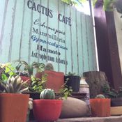 สวนเล็ก ๆ ริมรั้ว ตอน แบ่งปันเรื่องซน ๆ ในสวน และอวดสวนโซนใหม่Cactus Cafe