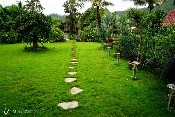 พาชมบ้านนอกและสวนของผม ในยามฝนแล้ง