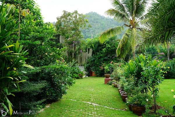 พาชมบ้านนอกและสวนของผม ในยามฝนแล้ง