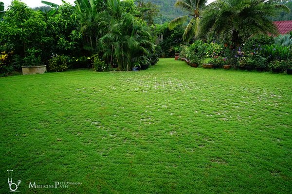 พาชมบ้านนอกและสวนของผม ในยามฝนแล้ง