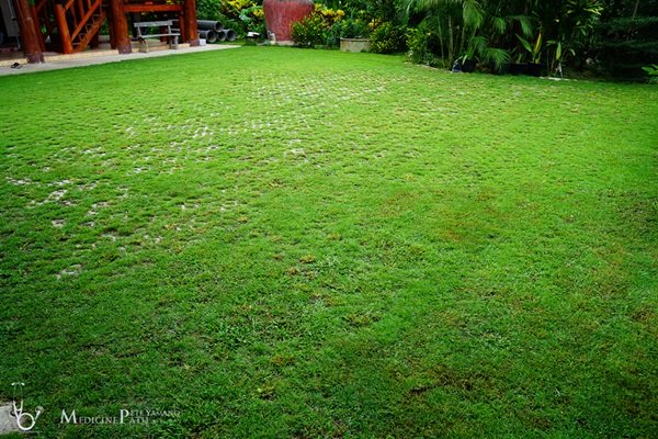 พาชมบ้านนอกและสวนของผม ในยามฝนแล้ง