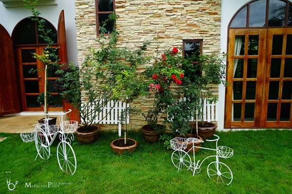 พาชมบ้านนอกและสวนของผม ในยามฝนแล้ง