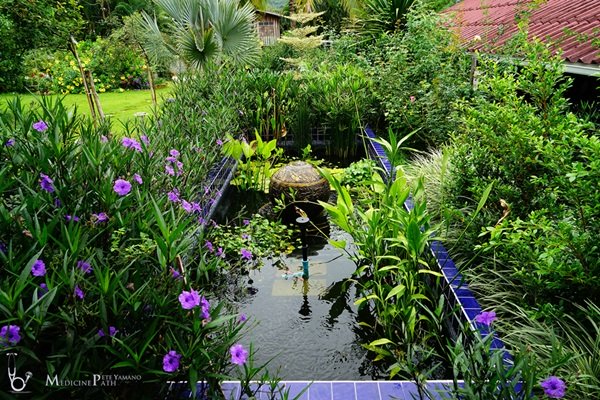 พาชมบ้านนอกและสวนของผม ในยามฝนแล้ง