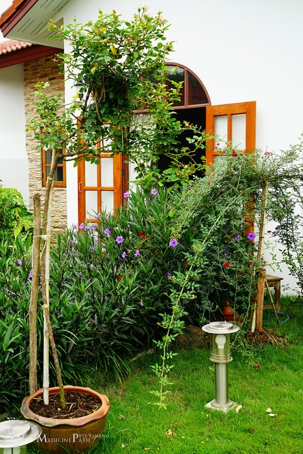 พาชมบ้านนอกและสวนของผม ในยามฝนแล้ง